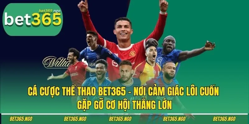 Cá cược thể thao Bet365 - Nơi cảm giác lôi cuốn gặp gỡ cơ hội thắng lớn