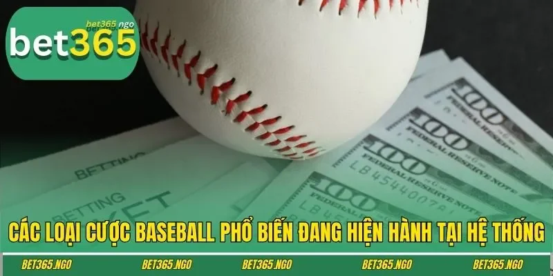 Các loại cược baseball phổ biến đang hiện hành tại hệ thống