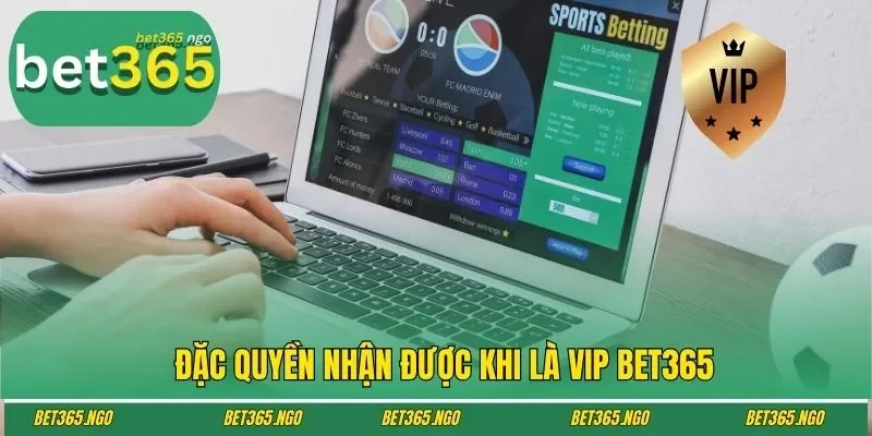 Đặc quyền nhận được khi là VIP BET365