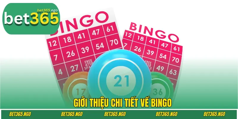Giới thiệu chi tiết về Bingo