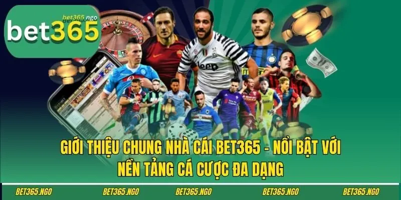 Giới thiệu chung nhà cái Bet365 - nổi bật với nền tảng cá cược đa dạng