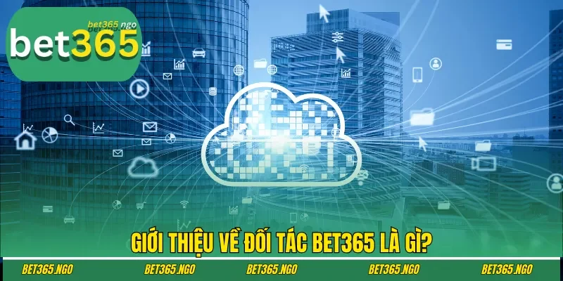 Giới thiệu về đối tác bet365 là gì?