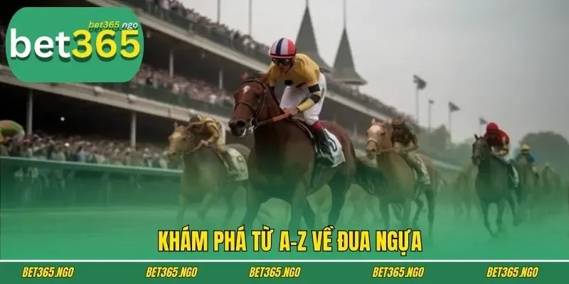 Khám phá từ A-Z về đua ngựa