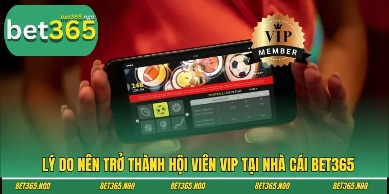 Lý do nên trở thành hội viên VIP tại nhà cái BET365
