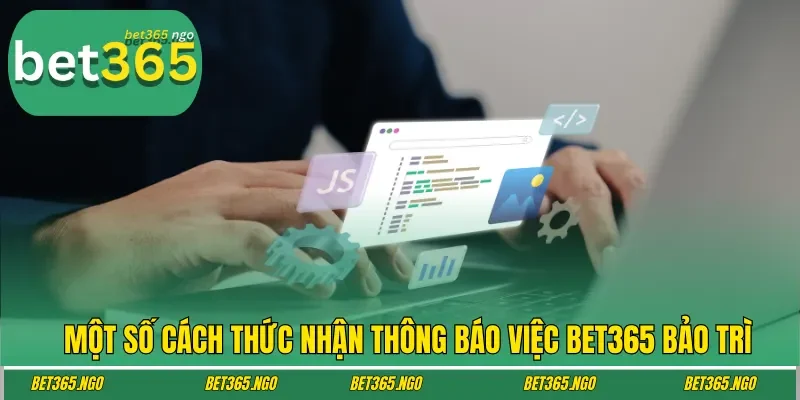 Một số cách thức nhận thông báo việc Bet365 bảo trì