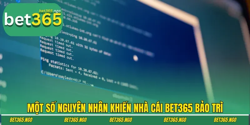 Một số nguyên nhân khiến nhà cái Bet365 bảo trì