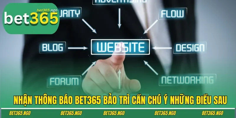 Nhận thông báo Bet365 bảo trì cần chú ý những điều sau