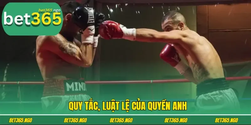 Quy tắc, luật lệ của quyền Anh