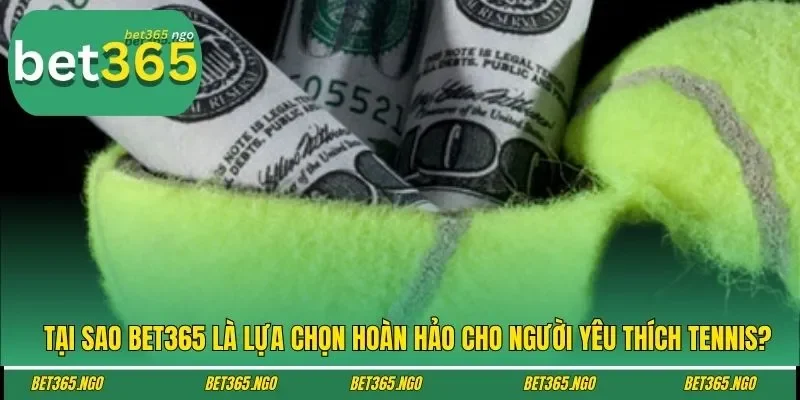 Tại sao BET365 là lựa chọn hoàn hảo cho người yêu thích tennis?
