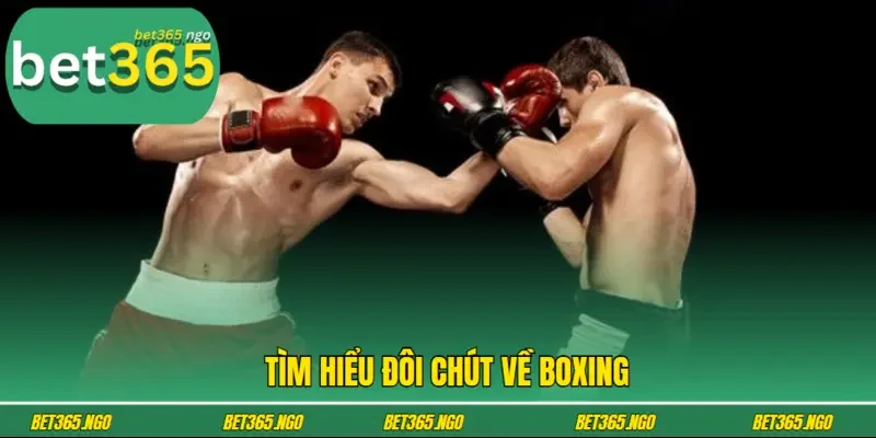 Tìm hiểu đôi chút về boxing