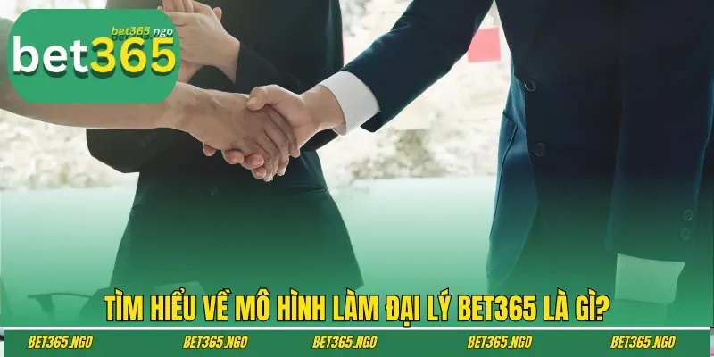 Tìm hiểu về mô hình làm đại lý Bet365 là gì?