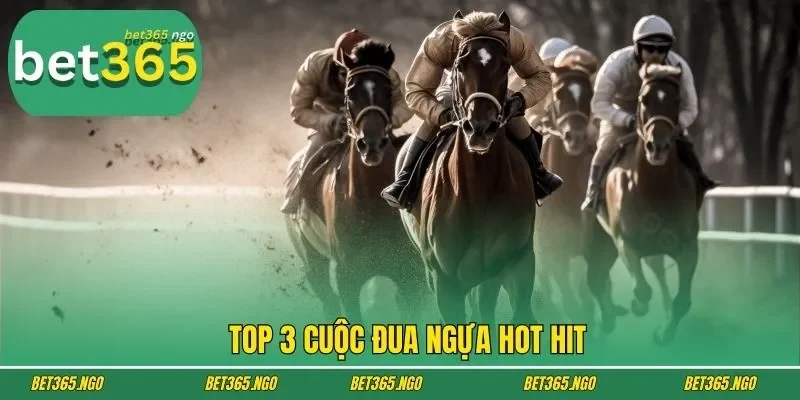 Top 3 cuộc đua ngựa hot hit
