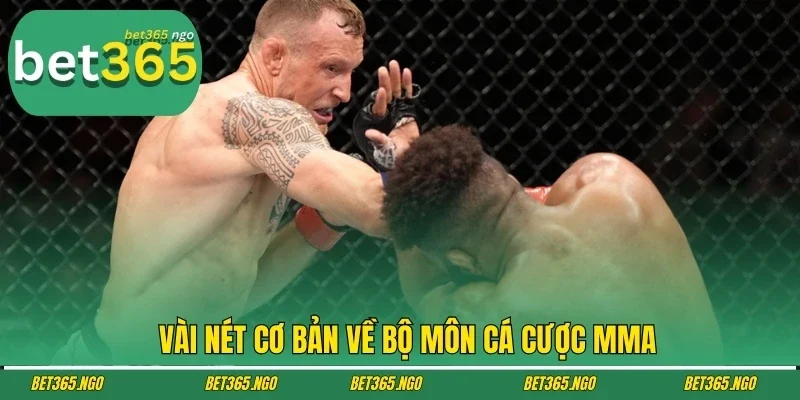 Vài nét cơ bản về bộ môn cá cược MMA